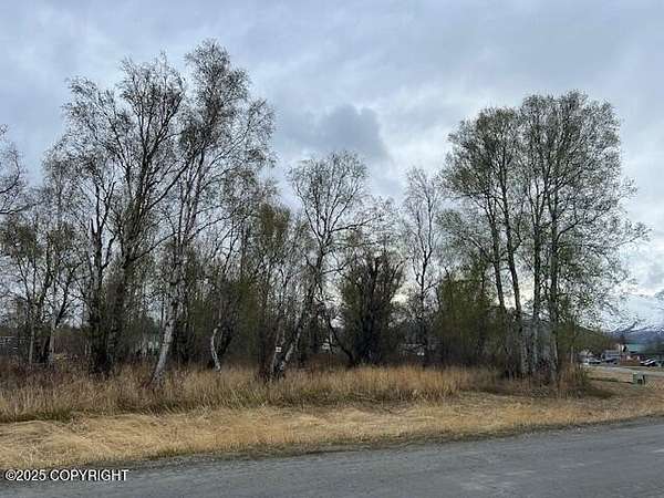 0.69 Acres of Land for Sale in Palmer, Alaska