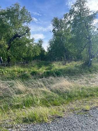 0.92 Acres of Land for Sale in Palmer, Alaska