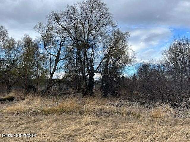 0.69 Acres of Land for Sale in Palmer, Alaska