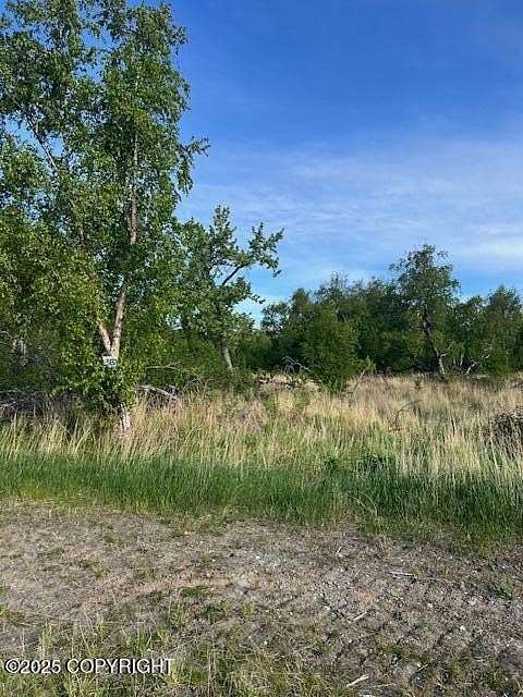 0.95 Acres of Residential Land for Sale in Palmer, Alaska