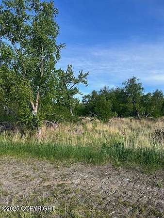 0.95 Acres of Residential Land for Sale in Palmer, Alaska