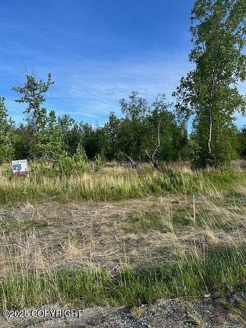 1 Acre of Residential Land for Sale in Palmer, Alaska