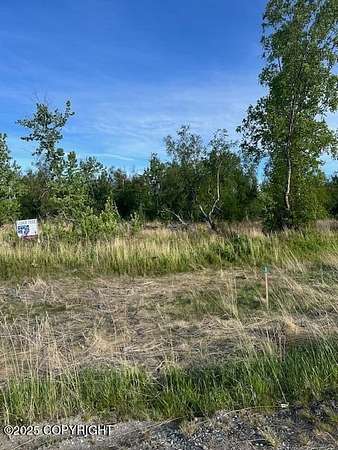1 Acre of Residential Land for Sale in Palmer, Alaska