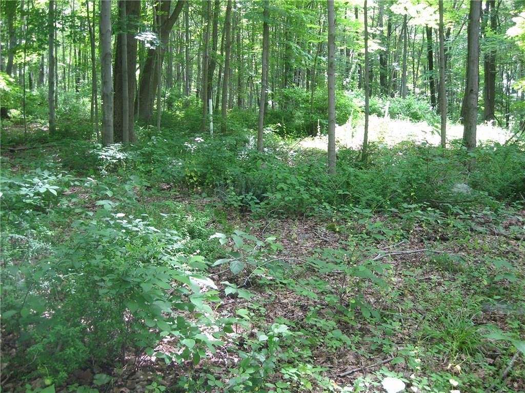 28.5 Acres of Land for Sale in Roxbury, Connecticut