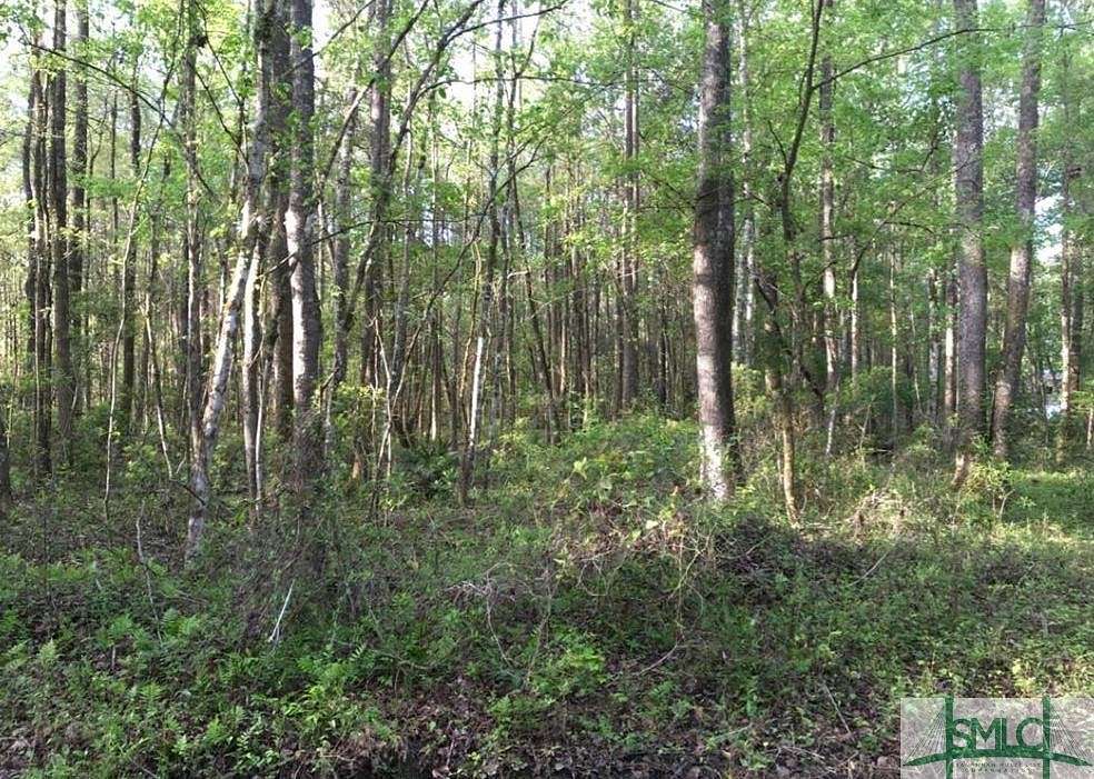 0.65 Acres of Residential Land for Sale in Townsend, Georgia
