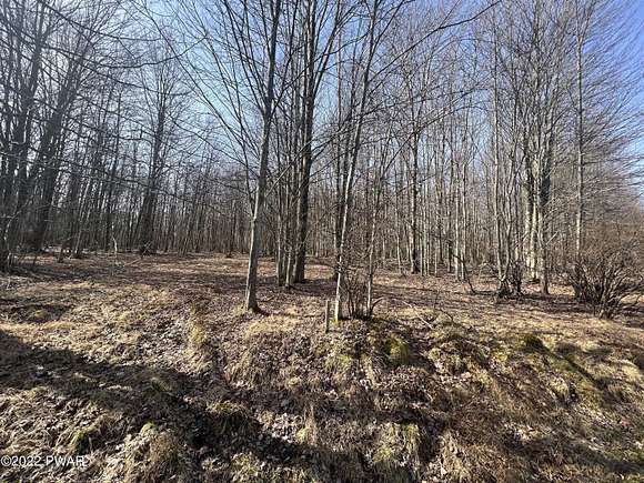 0.4 Acres of Land for Sale in Lake Ariel, Pennsylvania