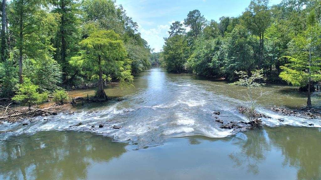 60 Acres of Land for Sale in Leary, Georgia