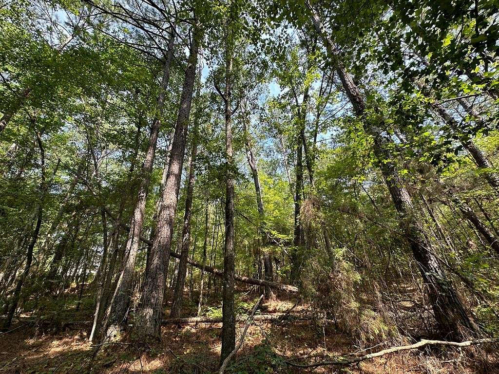 31 Acres of Recreational Land for Sale in West Point, Mississippi