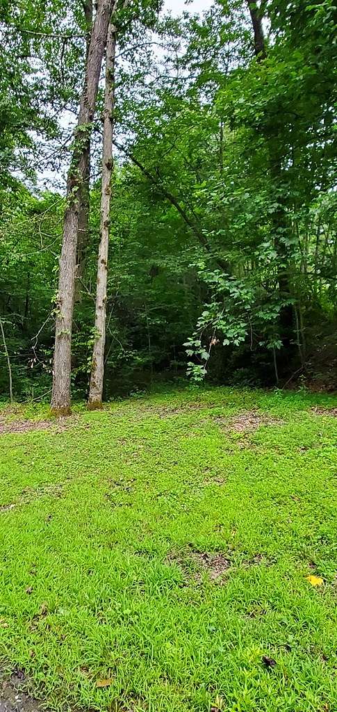 2.9 Acres of Residential Land for Sale in Sylva, North Carolina