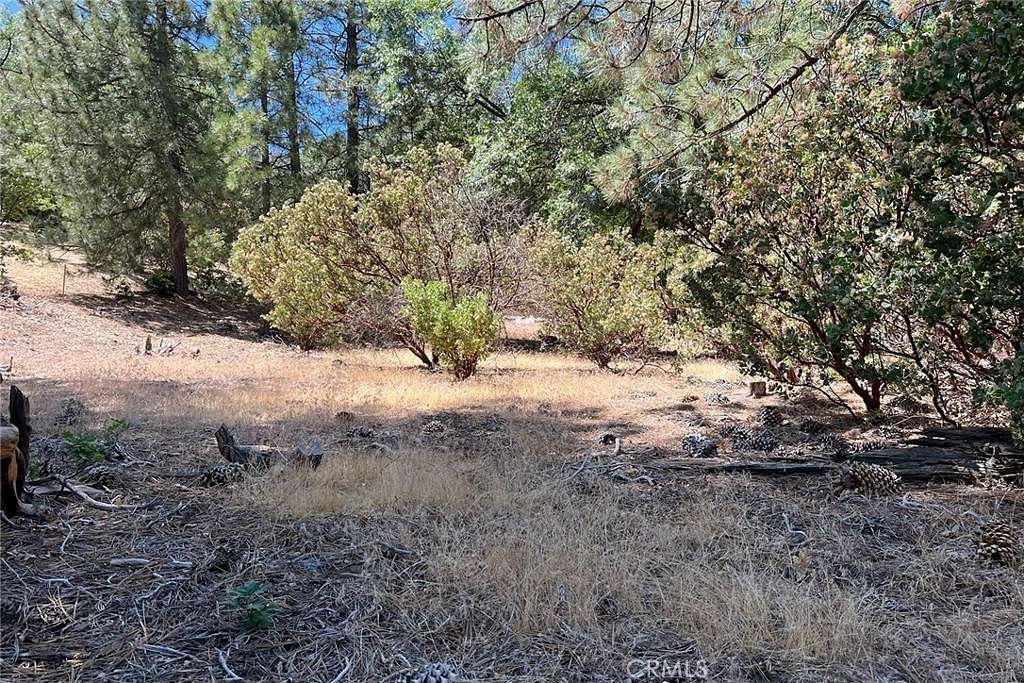 0.17 Acres of Land for Sale in Lake Arrowhead, California