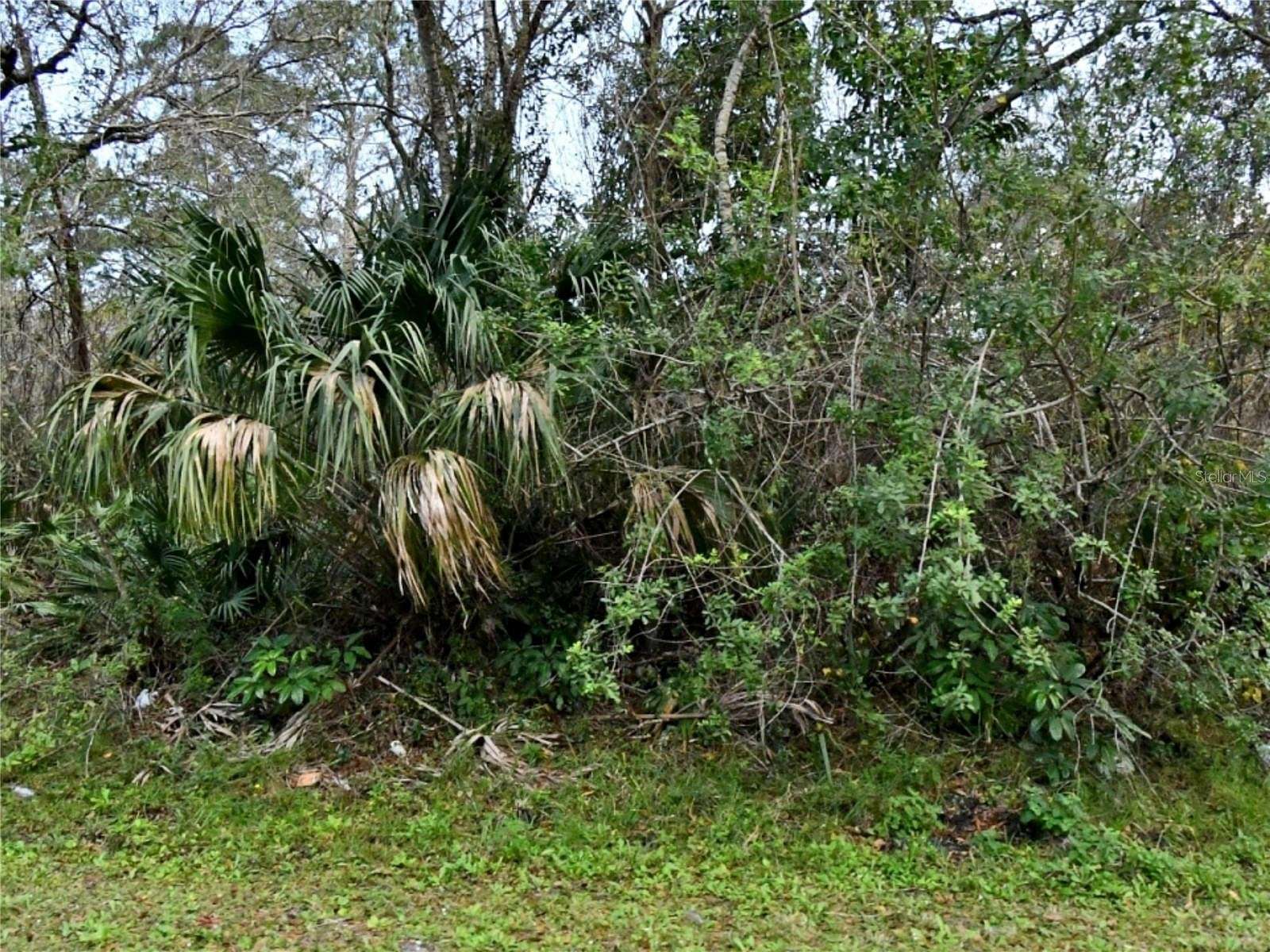 0.22 Acres of Residential Land for Sale in Fort Pierce, Florida