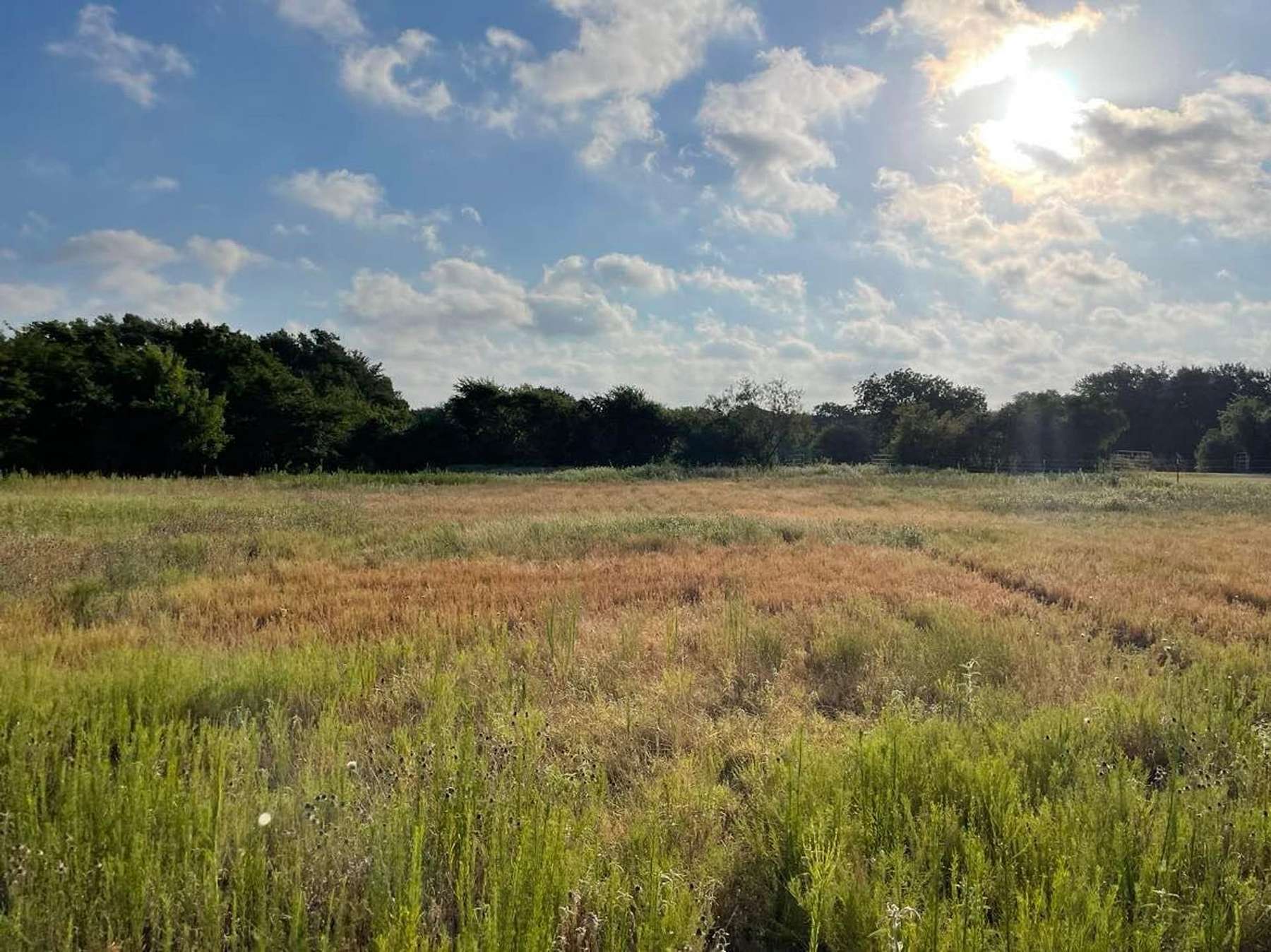 6.7 Acres of Recreational Land for Sale in Lott, Texas