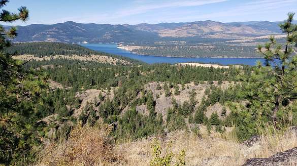 20 Acres of Recreational Land for Sale in Hunters, Washington