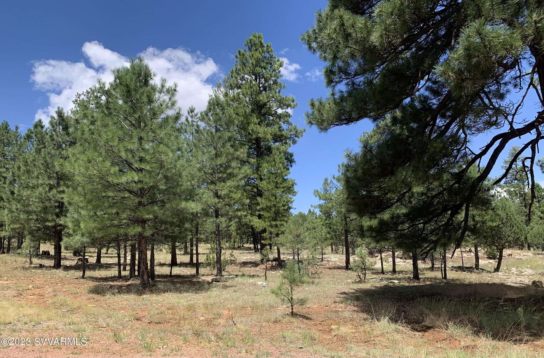 0.92 Acres of Residential Land for Sale in Happy Jack, Arizona