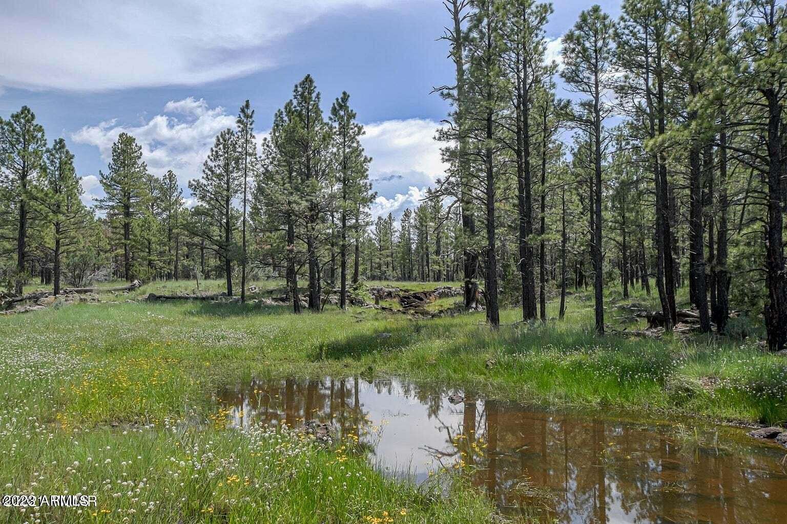 14.4 Acres of Land for Sale in Lakeside, Arizona