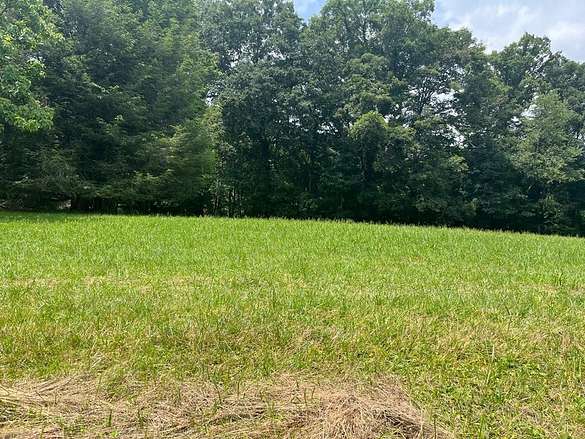 0.48 Acres of Residential Land for Sale in Raven, Virginia