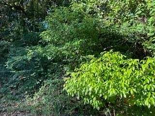 Residential Land for Sale in Theodore, Alabama