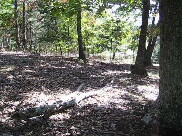 3.1 Acres of Land for Sale in Mooresburg, Tennessee