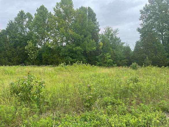 21.1 Acres of Land for Sale in Morgantown, Kentucky