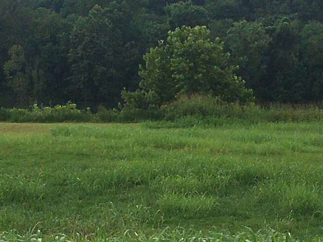 1.3 Acres of Residential Land for Sale in Guion, Arkansas