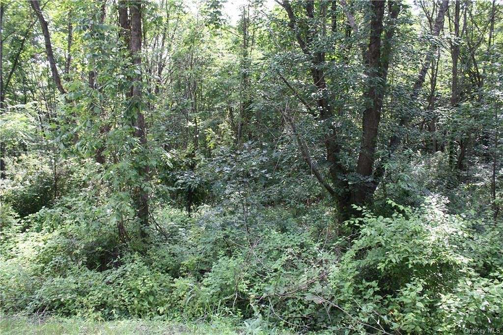 12.3 Acres of Land for Sale in Greenville, New York