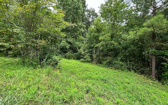 Land For Sale In Ranger Ga