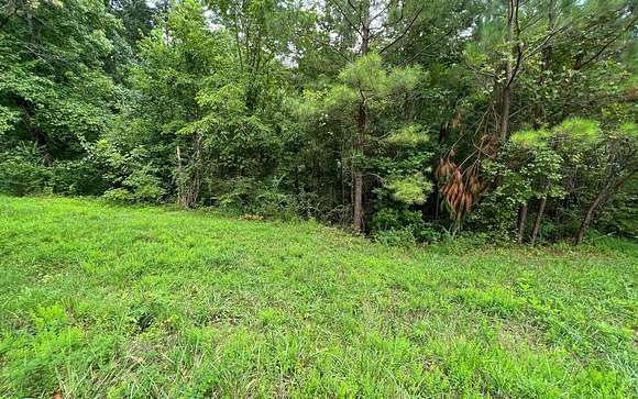 Land For Sale Ranger Ga