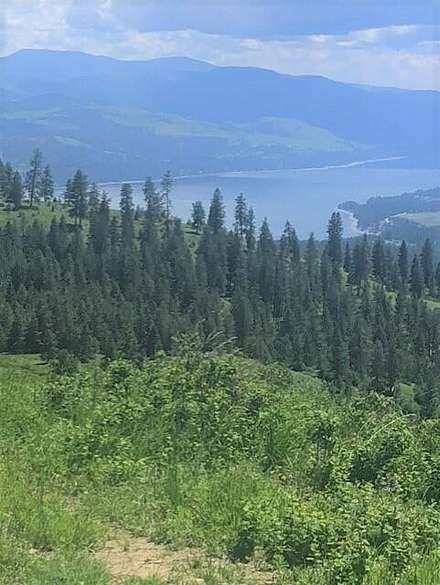 80 Acres of Recreational Land for Sale in Inchelium, Washington