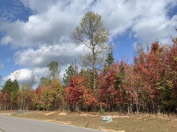 0.68 Acres of Residential Land for Sale in Jasper, Tennessee