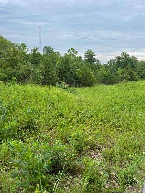 177 Acres of Land for Sale in Newburg, Missouri