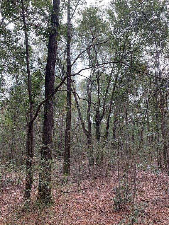 80 Acres of Land for Sale in Eight Mile, Alabama
