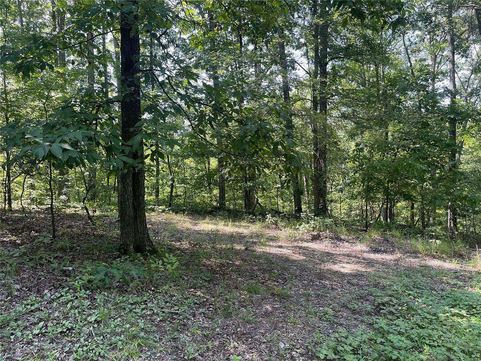 0.4 Acres of Residential Land for Sale in Wappapello, Missouri