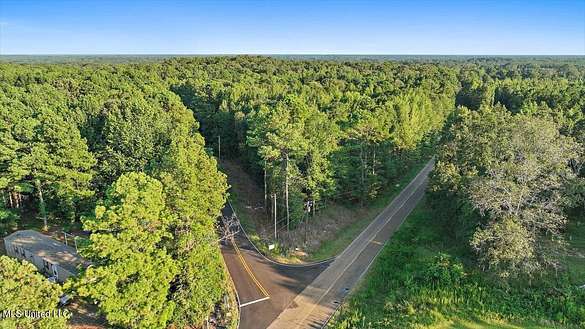51 Acres of Recreational Land for Sale in Bolton, Mississippi