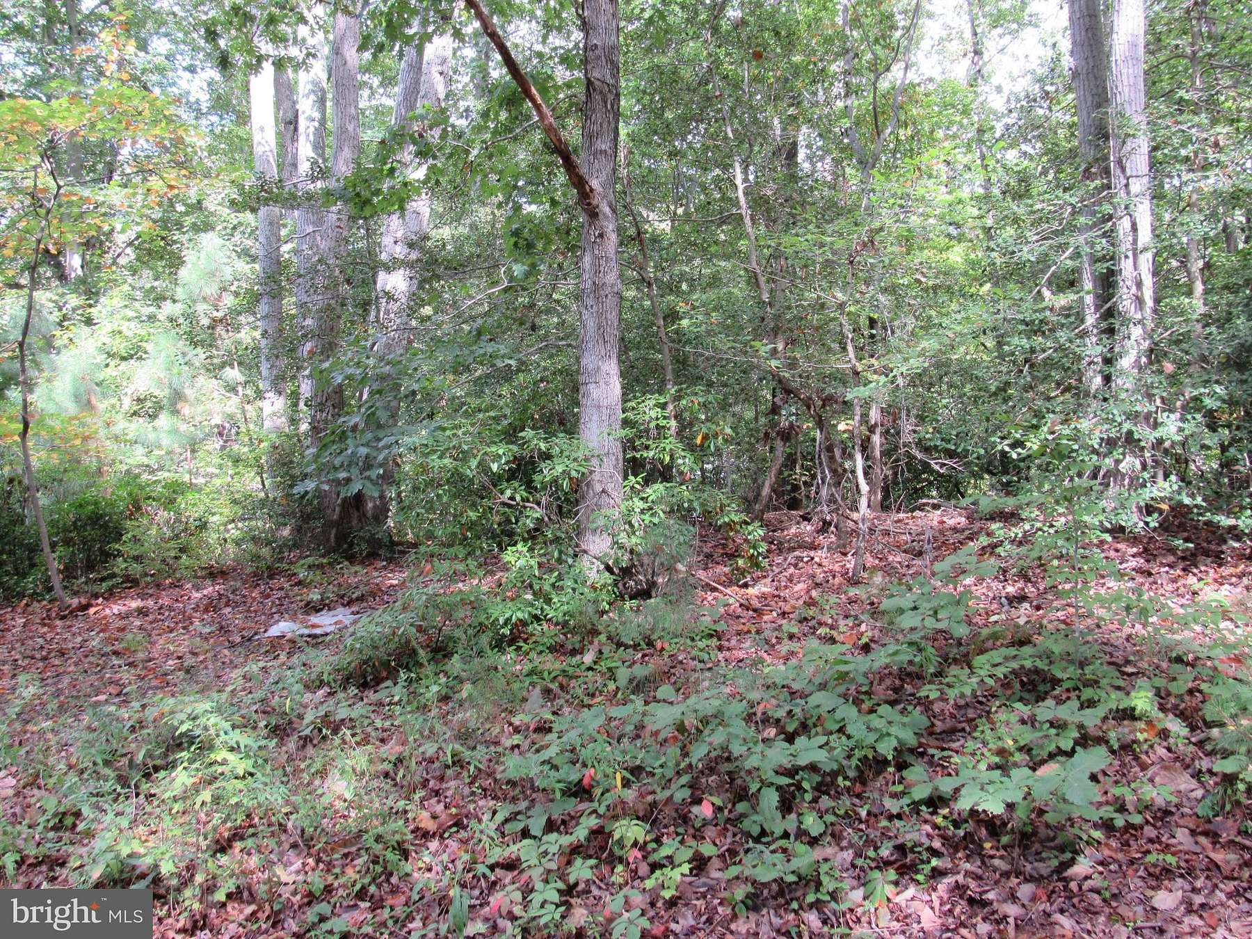 0.42 Acres of Residential Land for Sale in Lusby, Maryland