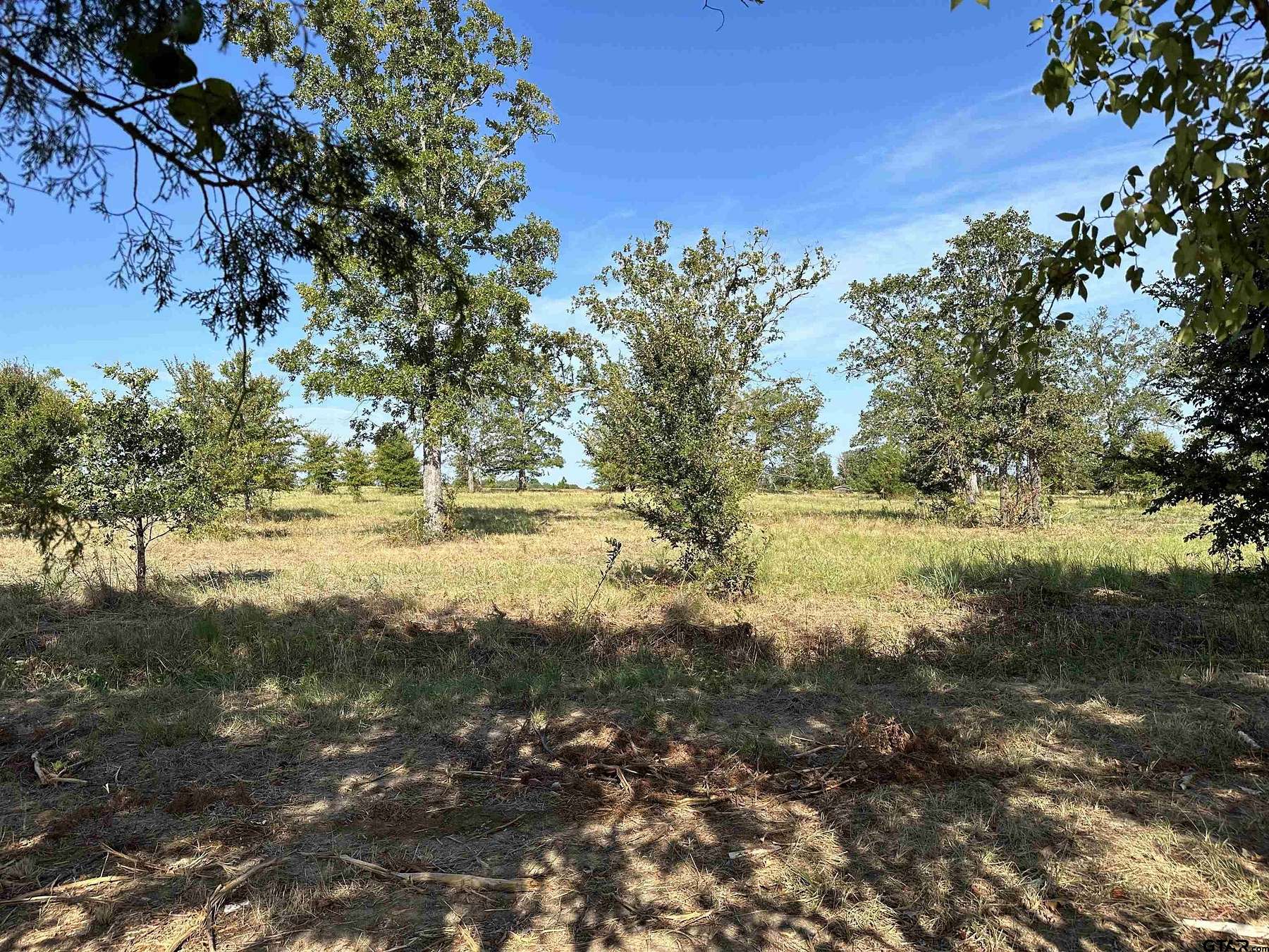 2.2 Acres of Residential Land for Sale in Brownsboro, Texas