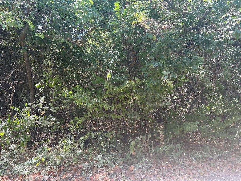 0.11 Acres of Land for Sale in Trinidad, Texas