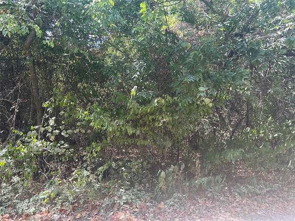 0.105 Acres of Land for Sale in Trinidad, Texas