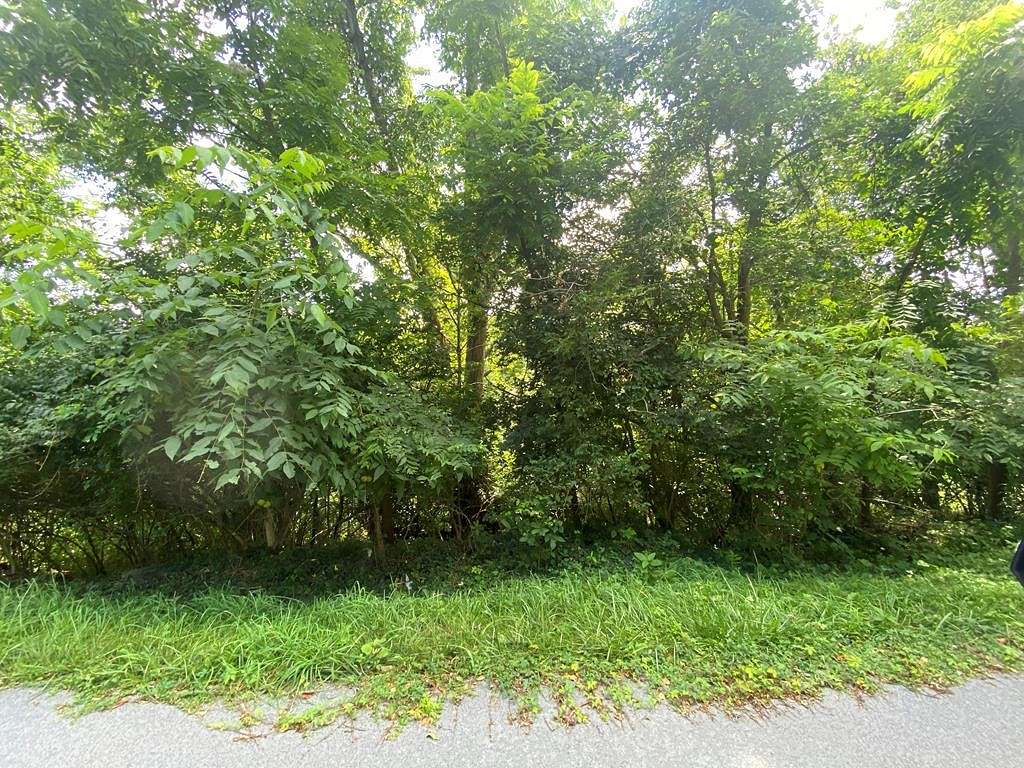 0.2 Acres of Residential Land for Sale in Tazewell, Virginia