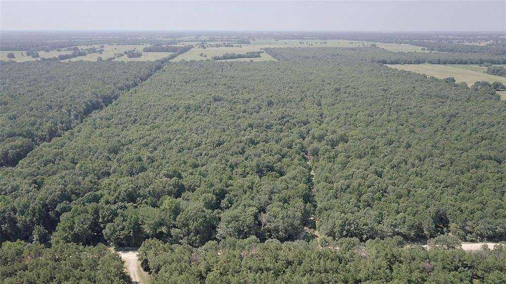 82.8 Acres of Recreational Land for Sale in Detroit, Texas