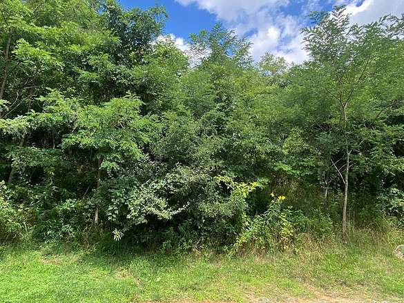 1.5 Acres of Residential Land for Sale in North Tazewell, Virginia
