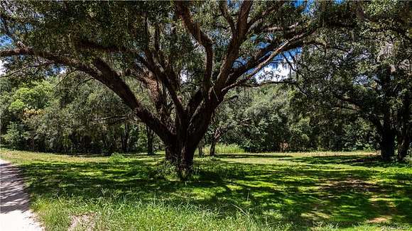 0.75 Acres of Residential Land for Sale in Ocklawaha, Florida
