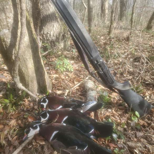 270 Acres of Land with Home for Sale in Harrisville, Mississippi