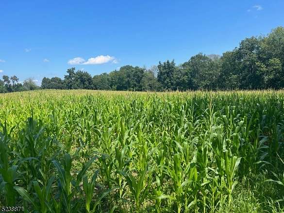 24.3 Acres of Agricultural Land for Sale in Andover Township, New Jersey