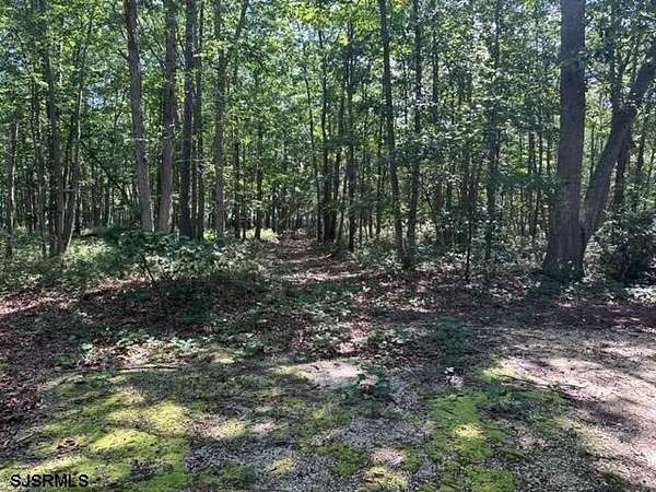 1 Acre of Mixed-Use Land for Sale in Galloway, New Jersey