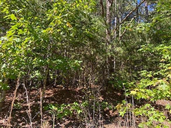 2 Acres of Residential Land for Sale in Shiloh, Tennessee
