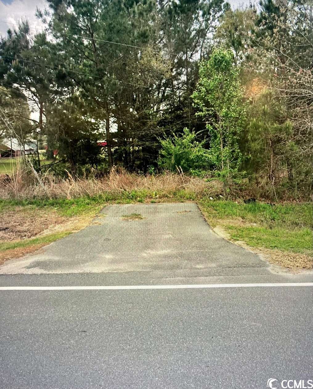 1 Acre of Residential Land for Sale in Green Sea, South Carolina
