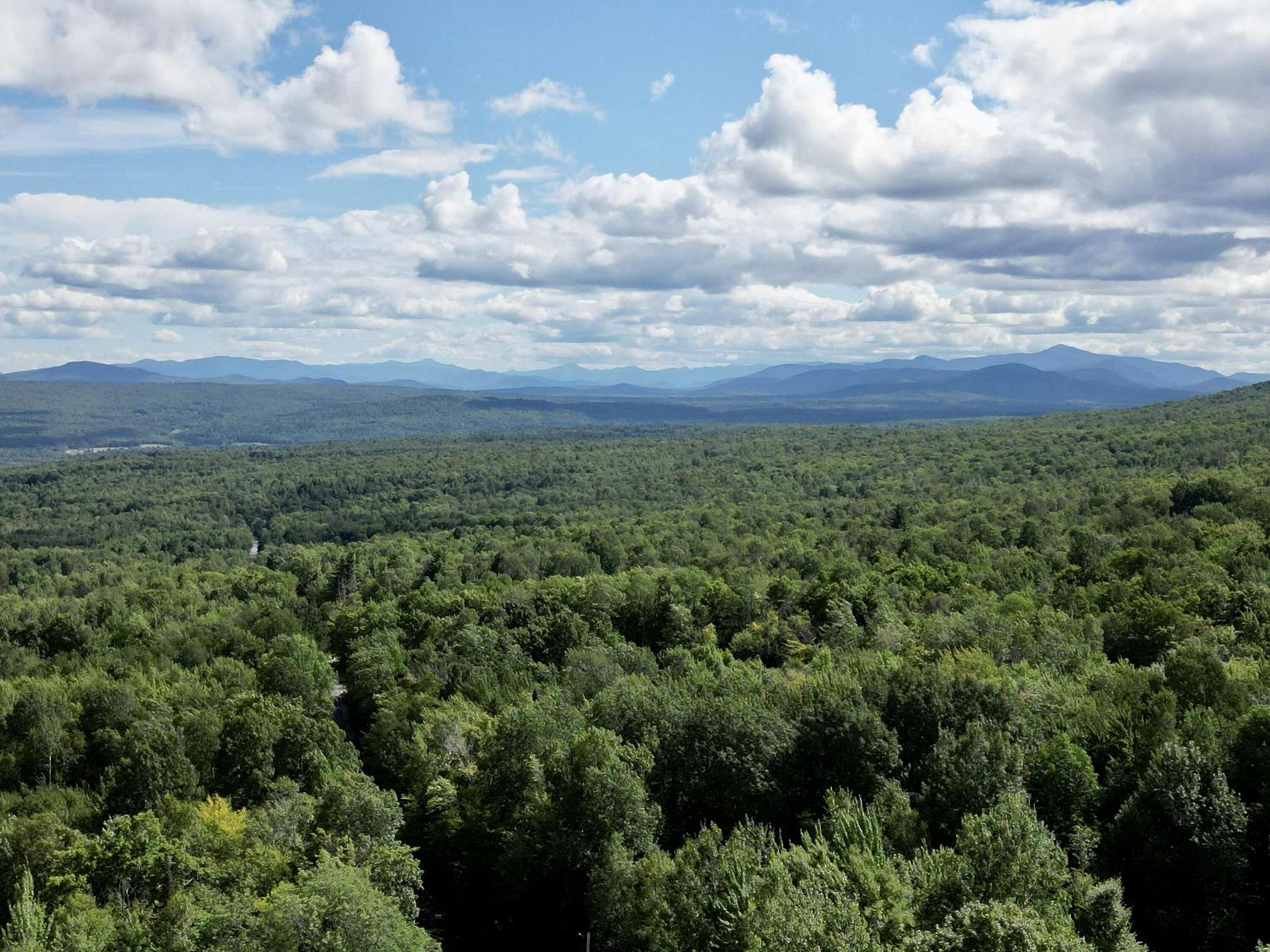 241 Acres of Recreational Land for Sale in Saranac, New York