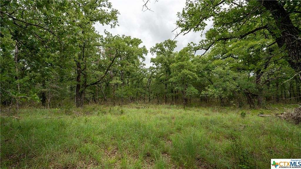 6 Acres of Residential Land for Sale in Buckholts, Texas