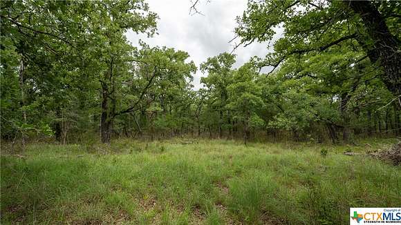 6 Acres of Residential Land for Sale in Buckholts, Texas