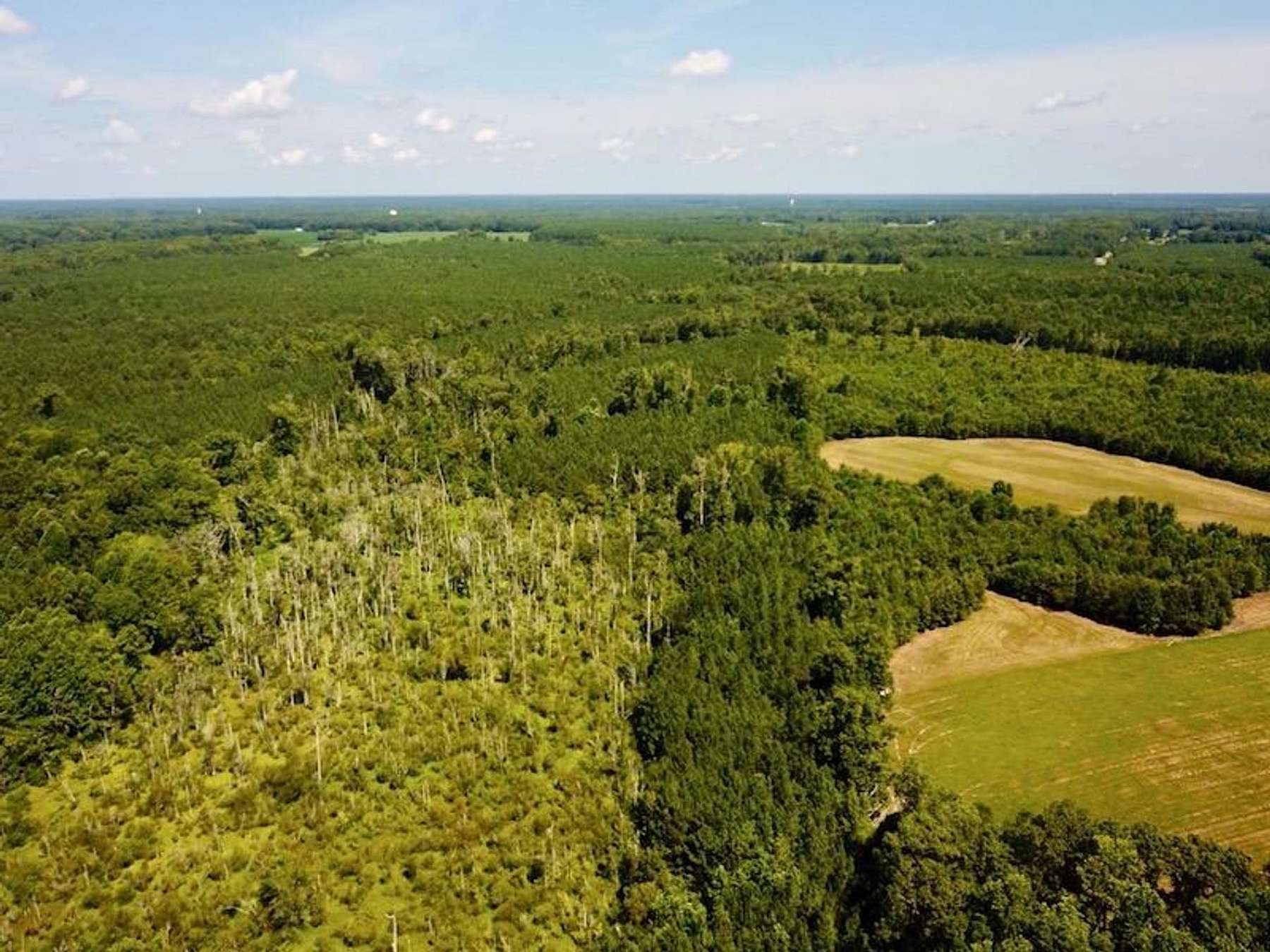 54.5 Acres of Recreational Land for Sale in Emporia, Virginia